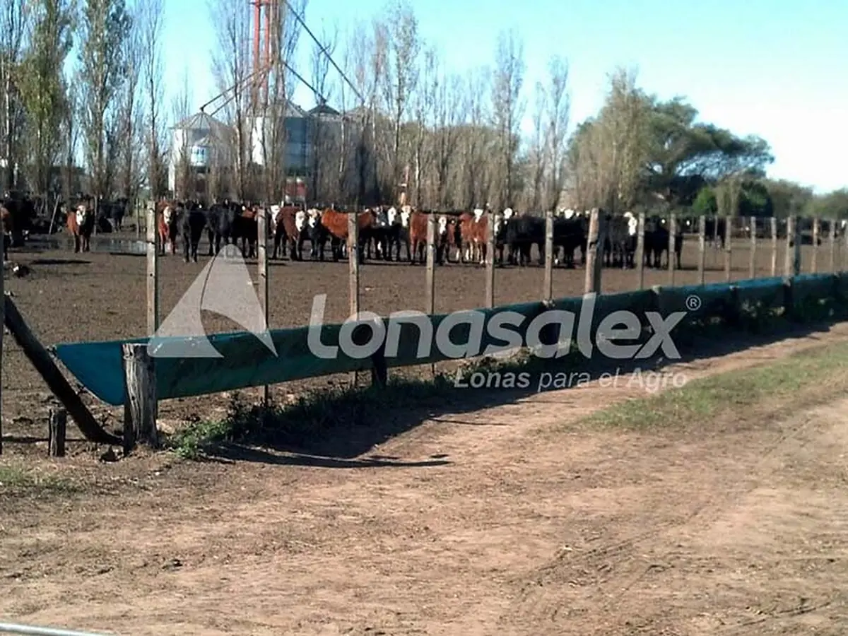 Comederos de lona en un feedlot